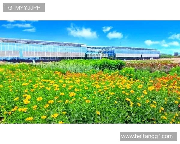 花卉种植技巧与方法探究，打造美丽家园的绿色梦想