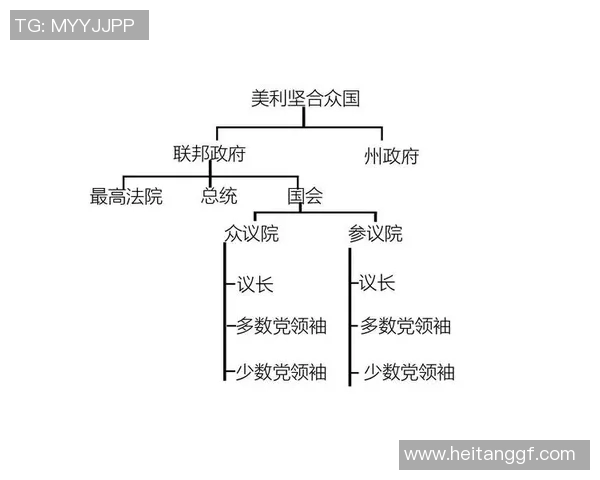 选举制度的演变与现代民主政治的关系分析及未来发展趋势探讨